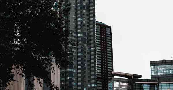 制作动画片的软件怎么下载