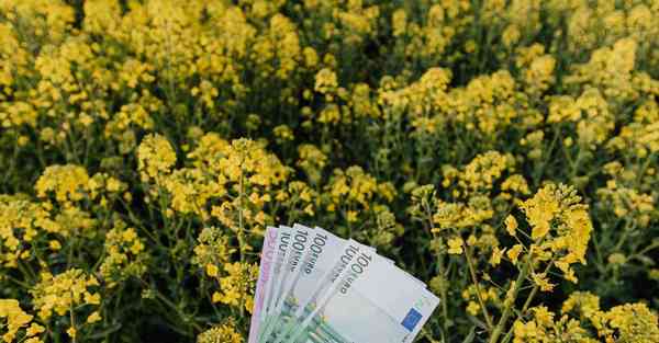 电视剧排行榜最近热播剧谍战片_电视剧排行榜最近热播剧免费