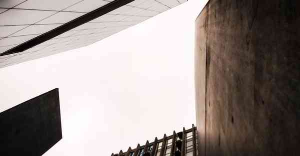 云南昆明有地方可以拍海鸥吗